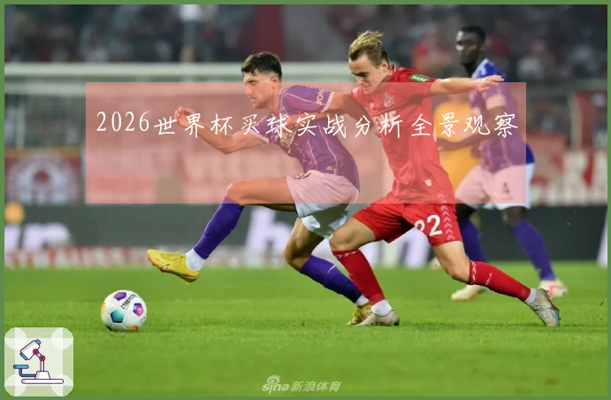 2026世界杯买球实战分析全景观察