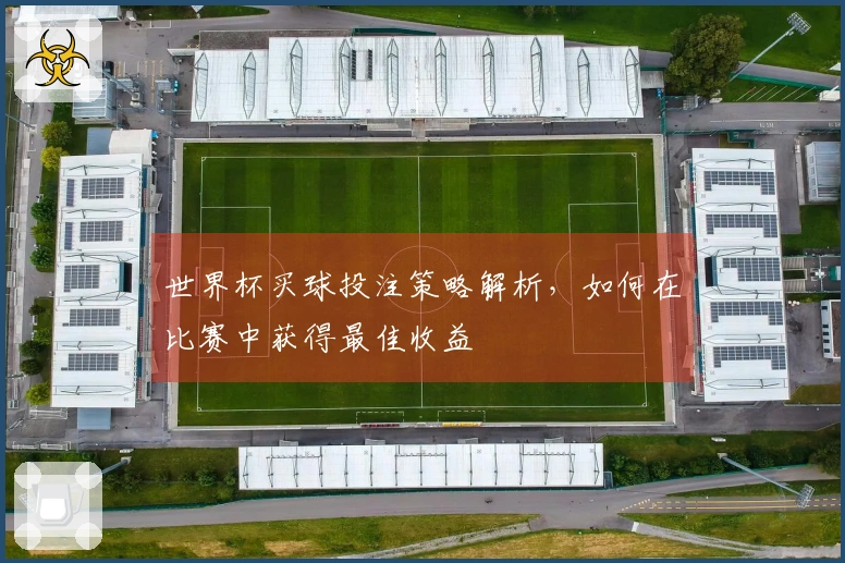 世界杯买球投注策略解析，如何在比赛中获得最佳收益