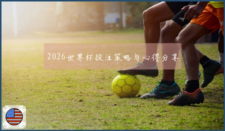 2026世界杯投注策略与心得分享