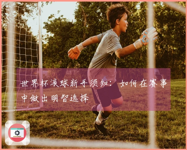 世界杯滚球新手须知：如何在赛事中做出明智选择