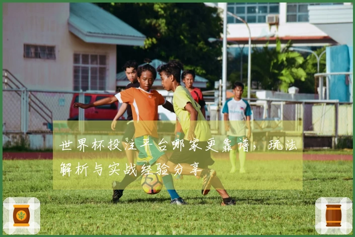 世界杯投注平台哪家更靠谱，玩法解析与实战经验分享