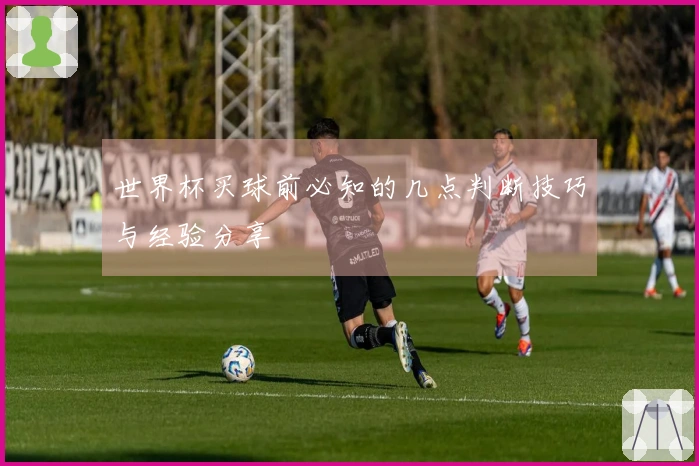 世界杯买球前必知的几点判断技巧与经验分享