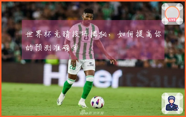 世界杯竞猜技巧揭秘，如何提高你的预测准确率