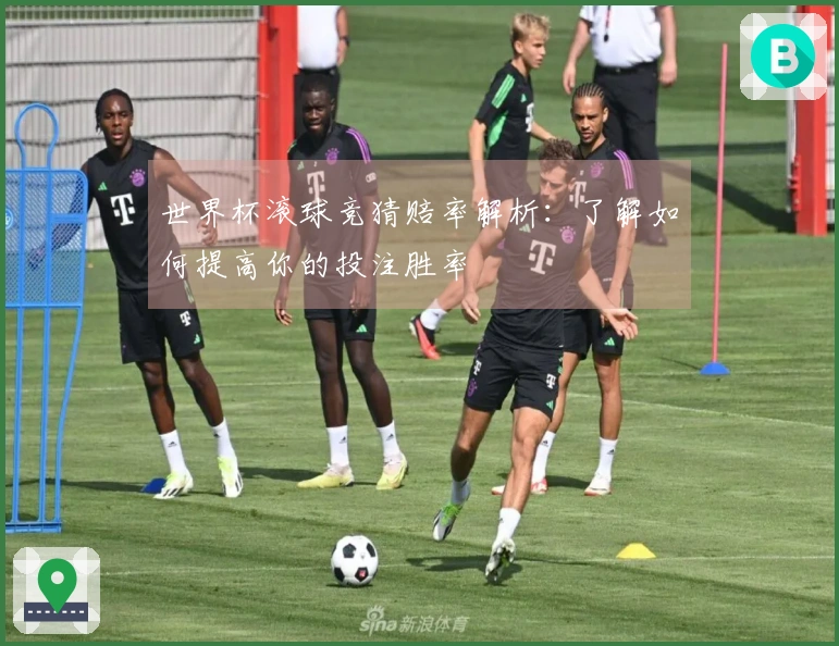世界杯滚球竞猜赔率解析：了解如何提高你的投注胜率