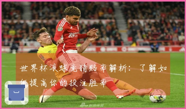 世界杯滚球竞猜赔率解析：了解如何提高你的投注胜率