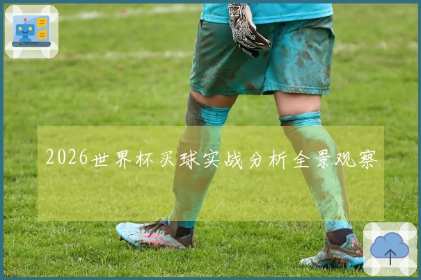2026世界杯买球实战分析全景观察