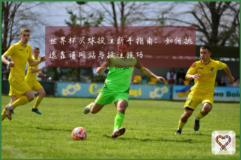 世界杯买球投注新手指南：如何挑选靠谱网站与投注技巧