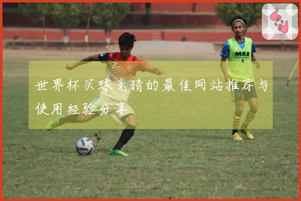 世界杯买球竞猜的最佳网站推荐与使用经验分享