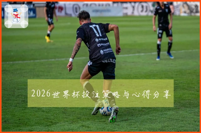 2026世界杯投注策略与心得分享