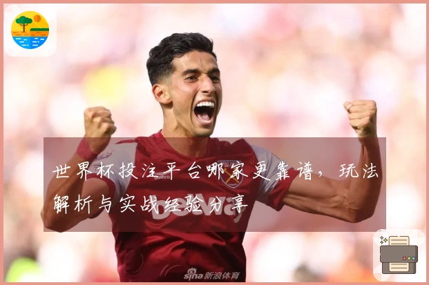 世界杯投注平台哪家更靠谱，玩法解析与实战经验分享