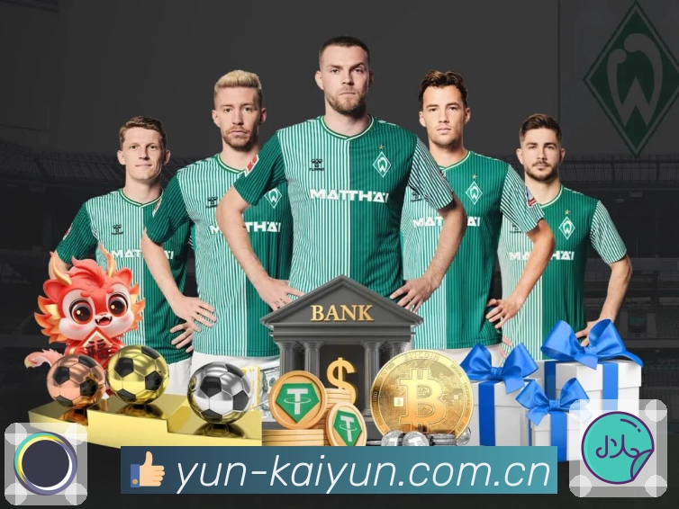 我们的使命与愿景（纯净体验）